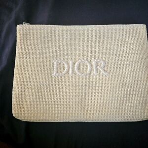 Dior pouch